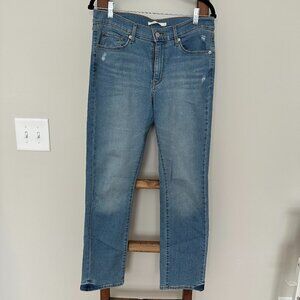 Levi's Jeans | Classic Straight